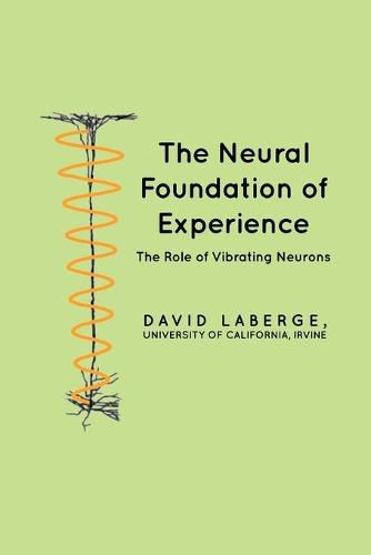 Cover image for The Neural Foundation of Experience: The Role of Vibrating Neurons