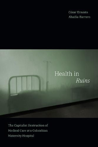 Cover image for Health in Ruins: The Capitalist Destruction of Medical Care at a Colombian Maternity Hospital