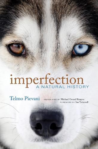 Cover image for Imperfection