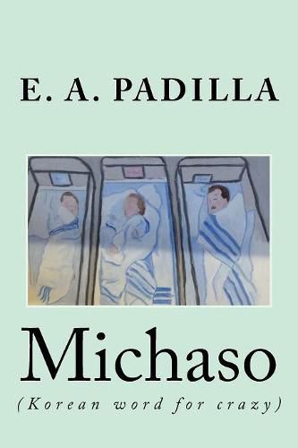 Cover image for Michaso