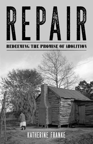 Cover image for Repair: Redeeming the Promise of Abolition