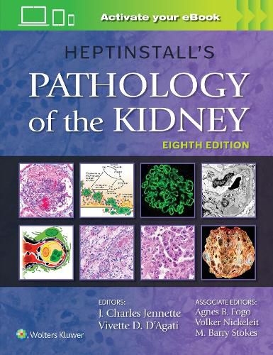 Cover image for Heptinstall's Pathology of the Kidney