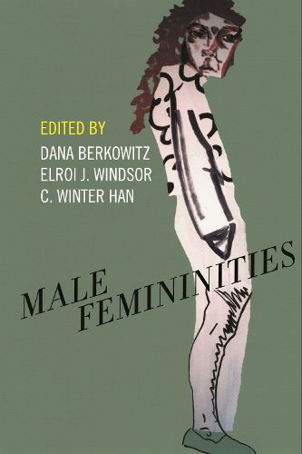 Cover image for Male Femininities