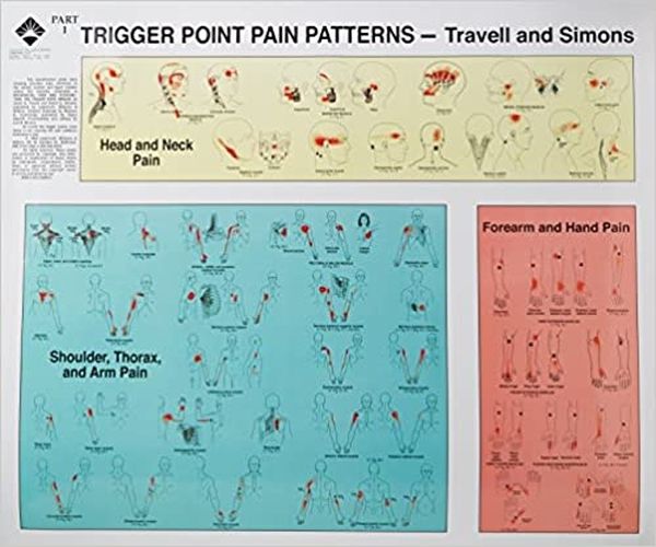 Cover image for Trigger Point Pain Patterns Wall Charts