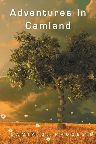 Cover image for Adventures in Camland