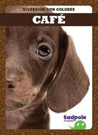 Cover image for Cafe (Brown)