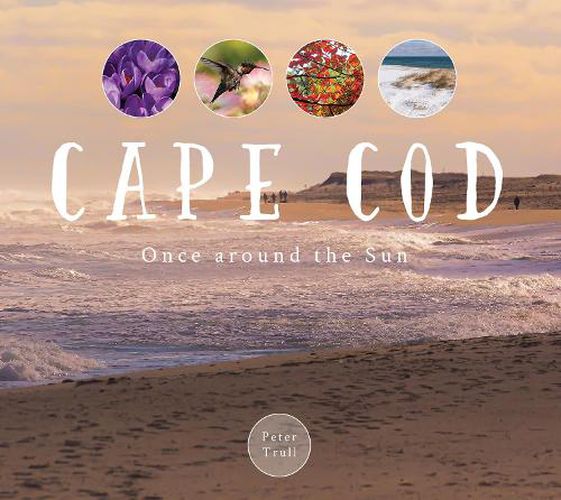 Cover image for Cape Cod