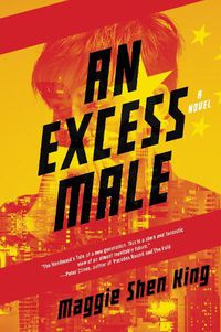 Cover image for An Excess Male: A Novel