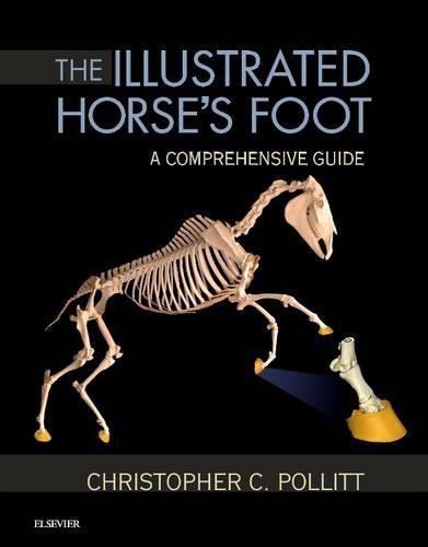 The Illustrated Horse's Foot: A comprehensive guide