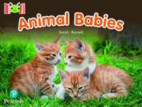 Cover image for Bug Club Reading Corner: Age 4-7: Animal Babies