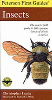 Cover image for First Guide to Insects