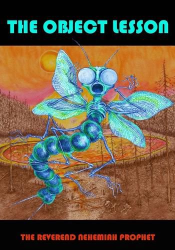 Cover image for The Object Lesson