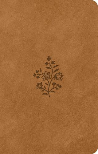 Cover image for ESV Premium Gift Bible