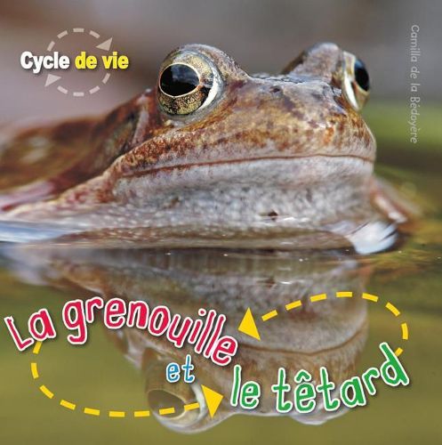 Cycle de Vie: La Grenouille Et Le T?tard