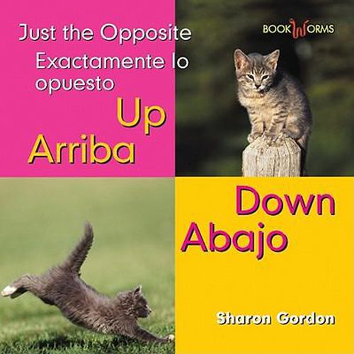 Arriba, Abajo / Up, Down