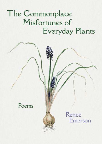 Cover image for The Commonplace Misfortunes of Everyday Plants