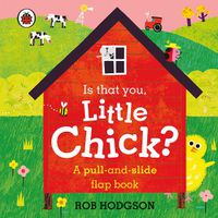 Cover image for Is that you, Little Chick?: A pull-and-slide flap book