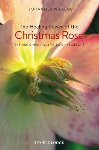 Cover image for The Healing Power of the Christmas Rose: The Medicinal Value of Black Hellebore