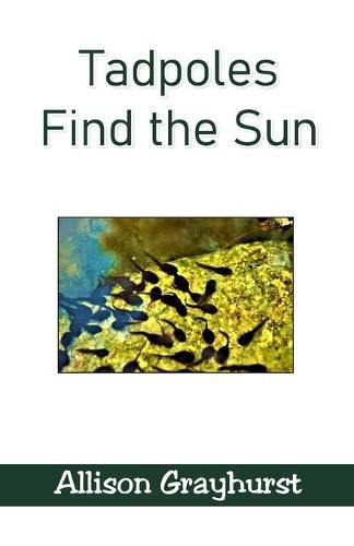 Cover image for Tadpoles Find the Sun