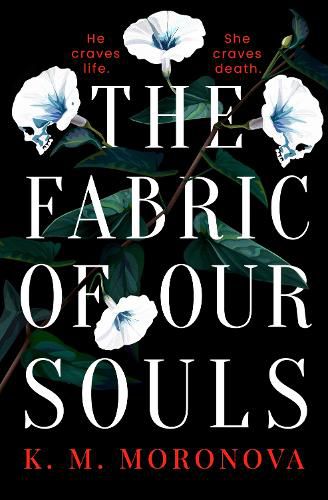 Cover image for The Fabric of Our Souls