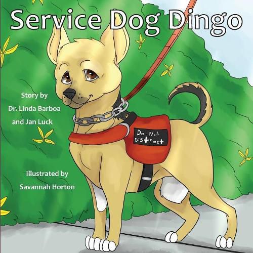 Cover image for Service Dog Dingo