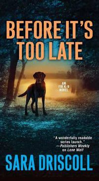 Cover image for Before It's Too Late