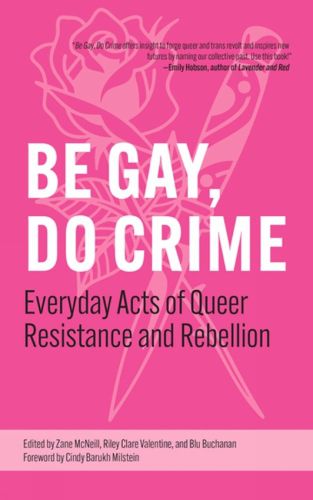 Cover image for Be Gay, Do Crime