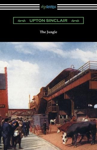 Cover image for The Jungle