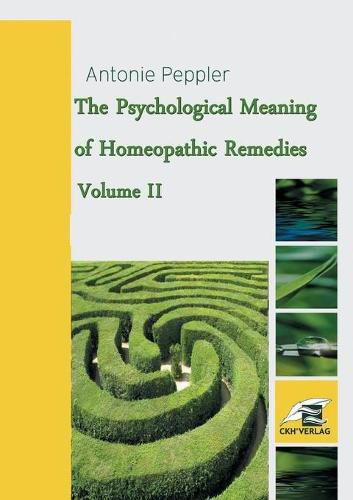 Cover image for The Psychological Meaning of Homeopathic Remedies