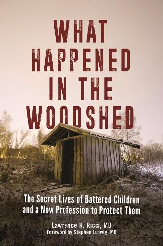 Cover image for What Happened in the Woodshed: The Secret Lives of Battered Children and a New Profession to Protect Them