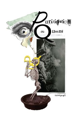 Cover image for Purification in Queens