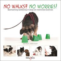 Cover image for No walks? No worries!: Maintaining wellbeing in dogs on restricted exercise