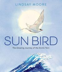 Cover image for Sun Bird