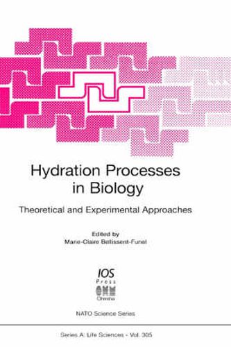 Cover image for Hydration Processes in Biology: Theoretical and Experimental Approaches