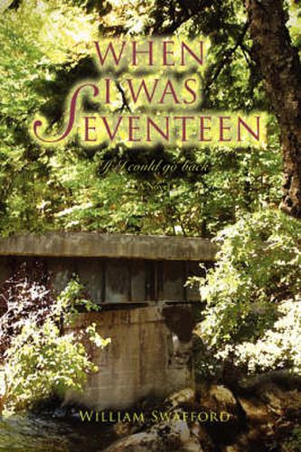 Cover image for When I Was Seventeen: If I Could Go Back