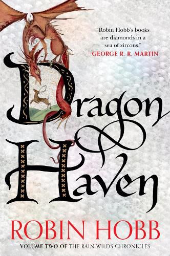 Cover image for Dragon Haven