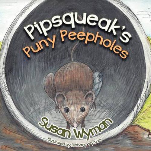 Cover image for Pipsqueak's Puny Peepholes