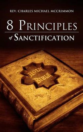Cover image for 8 Principles of Sanctification