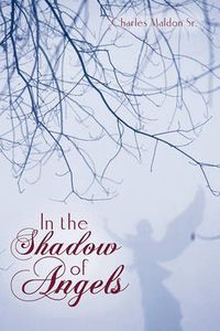 Cover image for In the Shadow of Angels