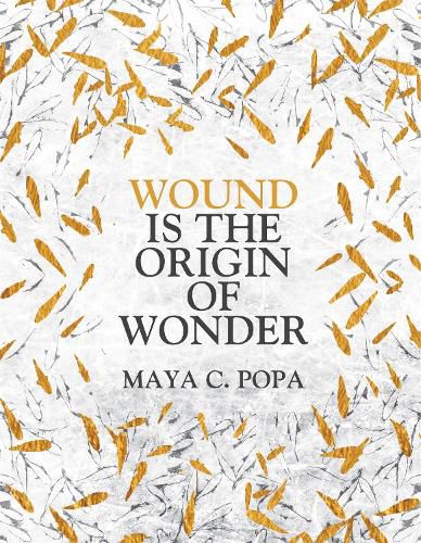 Cover image for Wound is the Origin of Wonder