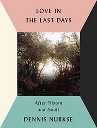 Cover image for Love in the Last Days: After Tristan and Iseult