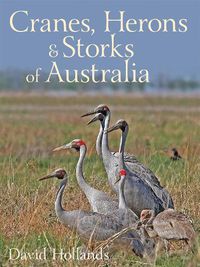 Cover image for Cranes, Herons and Storks of Australia