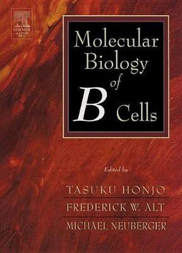 Cover image for Molecular Biology of B Cells