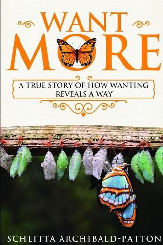 Cover image for Want More