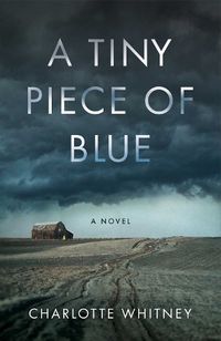 Cover image for A Tiny Piece of Blue