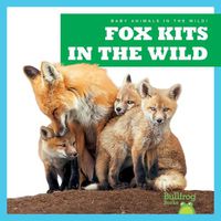 Cover image for Fox Kits in the Wild