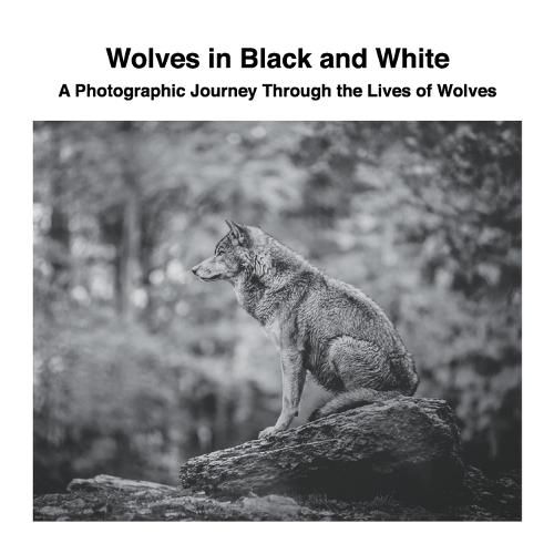 Cover image for Wolves in Black and White