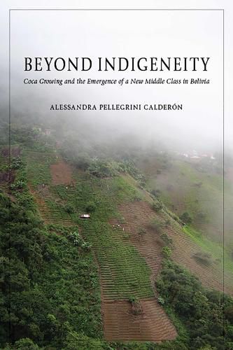 Cover image for Beyond Indigeneity: Growing and the Emergence of a New Middle Class in Bolivia