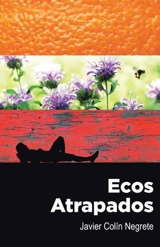 Cover image for Ecos atrapados