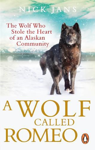 Cover image for A Wolf Called Romeo